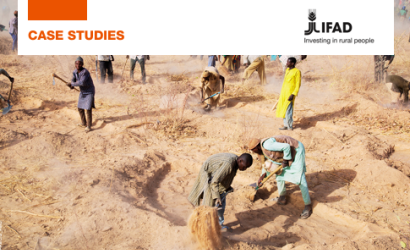 IFAD_PRECIS Case Study-Niger-cover (Oct2024)