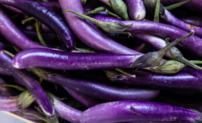 Eggplant photo