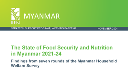 IFPRI-Working Paper-FSN Myanmar-cover (Nov2024)