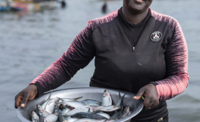 FAO_Investment Case-Fish Dyring-Malawi-civer (Nov2024)