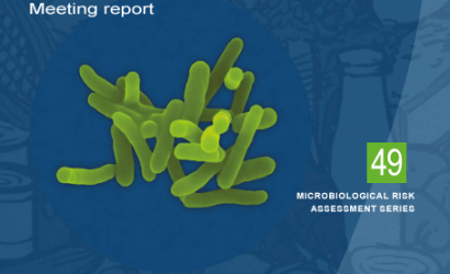 Codex-Microbiological risk in foods-Mtg Report cover (28Nov2024)