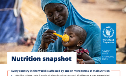 WFP-Nutrition Snapshot (2024)